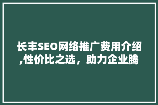 长丰SEO网络推广费用介绍,性价比之选，助力企业腾飞