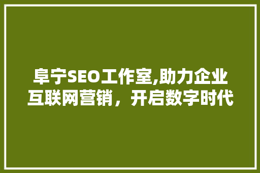阜宁SEO工作室,助力企业互联网营销，开启数字时代新篇章