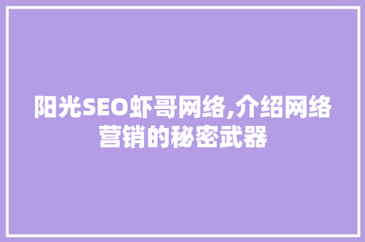 阳光SEO虾哥网络,介绍网络营销的秘密武器