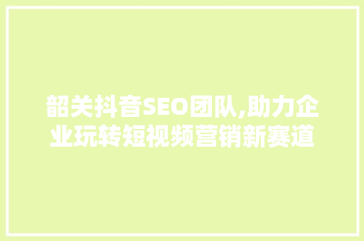 韶关抖音SEO团队,助力企业玩转短视频营销新赛道