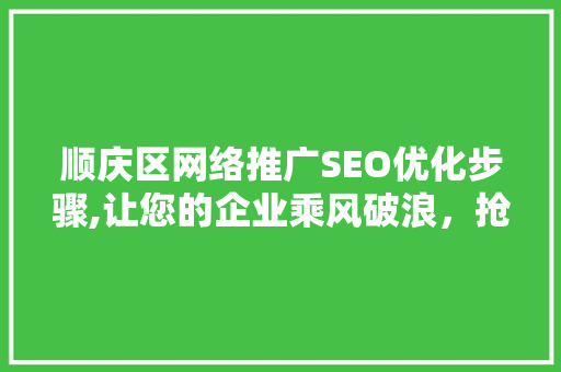 顺庆区网络推广SEO优化步骤,让您的企业乘风破浪，抢占互联网市场先机