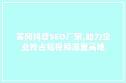 黄冈抖音SEO厂家,助力企业抢占短视频流量高地