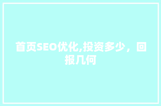 首页SEO优化,投资多少，回报几何