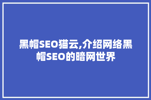 黑帽SEO猫云,介绍网络黑帽SEO的暗网世界