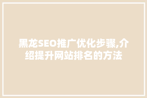 黑龙SEO推广优化步骤,介绍提升网站排名的方法