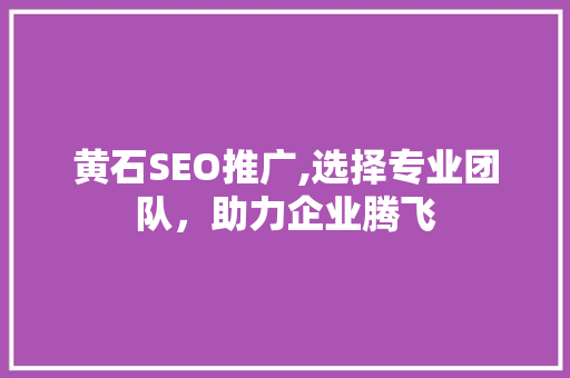 黄石SEO推广,选择专业团队，助力企业腾飞