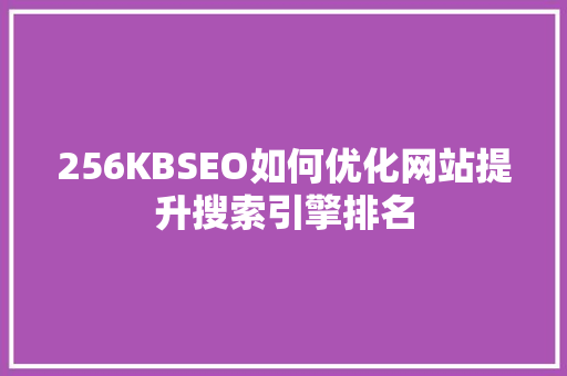 256KBSEO如何优化网站提升搜索引擎排名