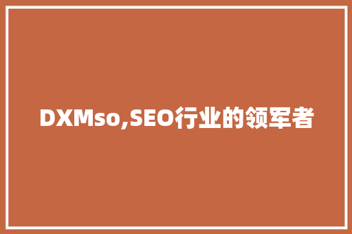 DXMso,SEO行业的领军者