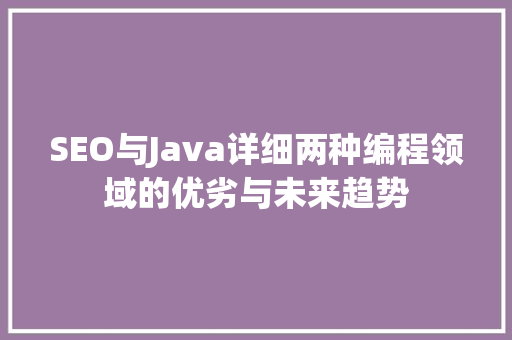SEO与Java详细两种编程领域的优劣与未来趋势