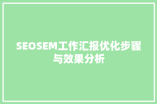 SEOSEM工作汇报优化步骤与效果分析