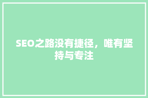 SEO之路没有捷径，唯有坚持与专注