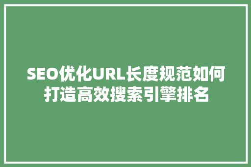 SEO优化URL长度规范如何打造高效搜索引擎排名