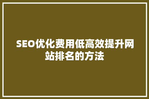 SEO优化费用低高效提升网站排名的方法