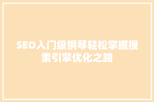 SEO入门级钢琴轻松掌握搜索引擎优化之路