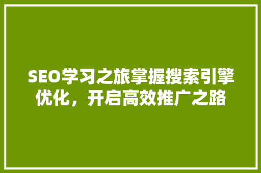 SEO学习之旅掌握搜索引擎优化，开启高效推广之路