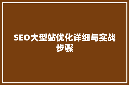 SEO大型站优化详细与实战步骤