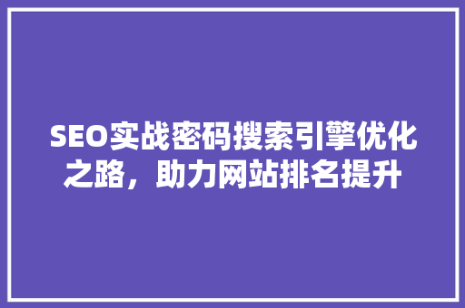 SEO实战密码搜索引擎优化之路，助力网站排名提升