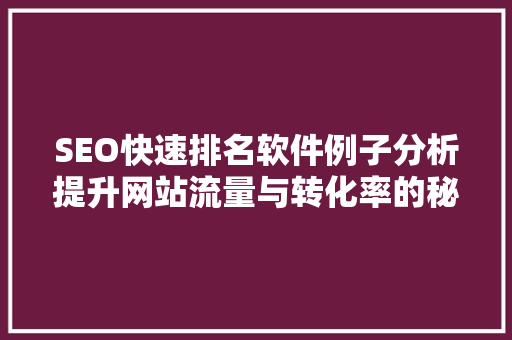 SEO快速排名软件例子分析提升网站流量与转化率的秘密武器