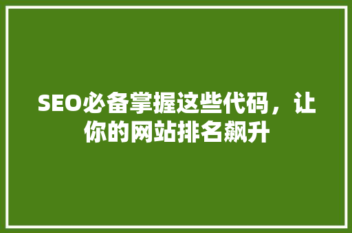SEO必备掌握这些代码，让你的网站排名飙升