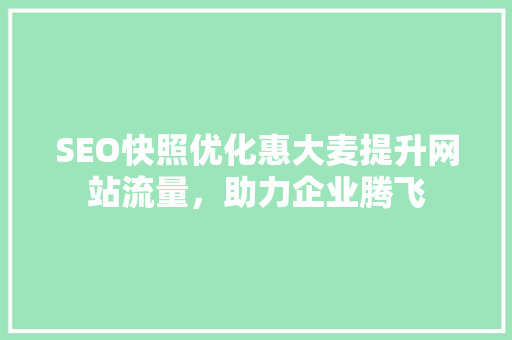 SEO快照优化惠大麦提升网站流量，助力企业腾飞