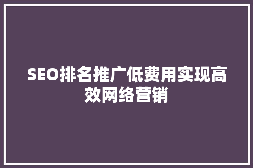 SEO排名推广低费用实现高效网络营销