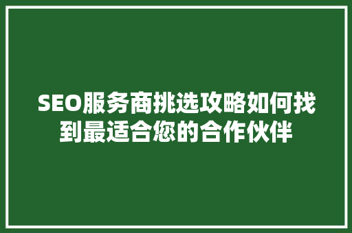 SEO服务商挑选攻略如何找到最适合您的合作伙伴