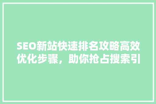 SEO新站快速排名攻略高效优化步骤，助你抢占搜索引擎高地
