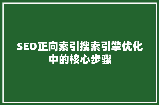 SEO正向索引搜索引擎优化中的核心步骤