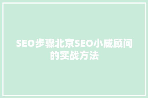 SEO步骤北京SEO小威顾问的实战方法