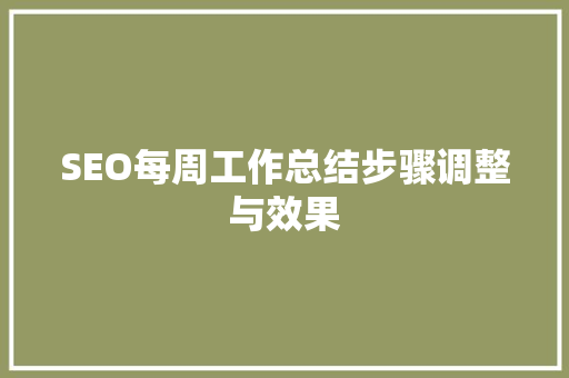 SEO每周工作总结步骤调整与效果