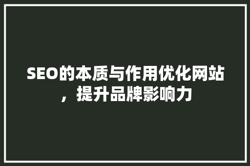 SEO的本质与作用优化网站，提升品牌影响力