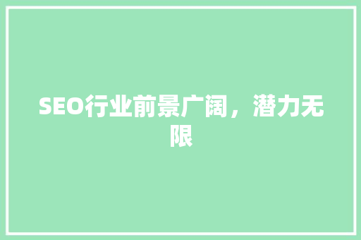 SEO行业前景广阔，潜力无限
