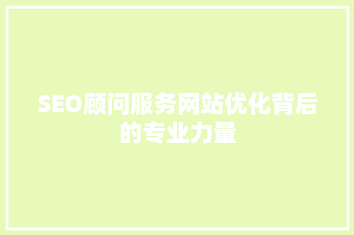 SEO顾问服务网站优化背后的专业力量