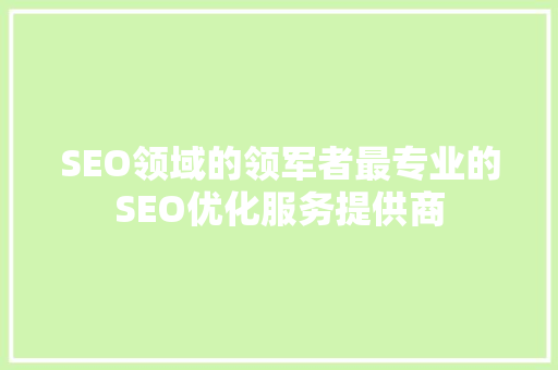 SEO领域的领军者最专业的SEO优化服务提供商