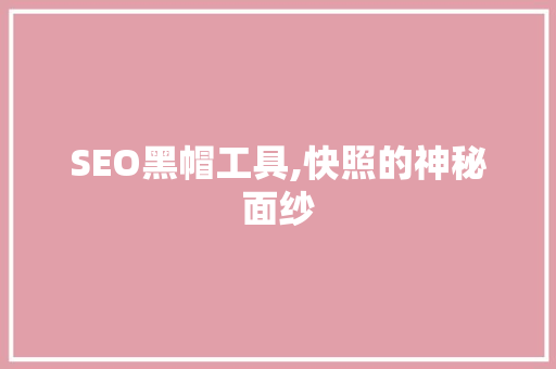 SEO黑帽工具,快照的神秘面纱