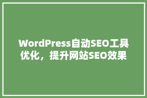 WordPress自动SEO工具优化，提升网站SEO效果