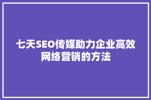 七天SEO传媒助力企业高效网络营销的方法
