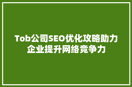 Tob公司SEO优化攻略助力企业提升网络竞争力