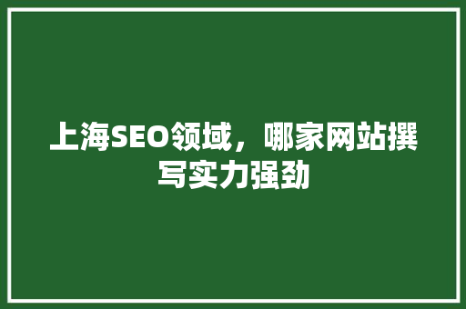 上海SEO领域，哪家网站撰写实力强劲