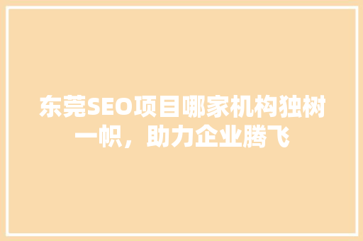 东莞SEO项目哪家机构独树一帜，助力企业腾飞