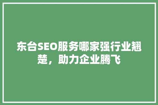 东台SEO服务哪家强行业翘楚，助力企业腾飞