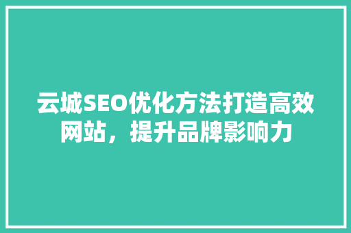 云城SEO优化方法打造高效网站，提升品牌影响力