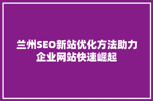 兰州SEO新站优化方法助力企业网站快速崛起