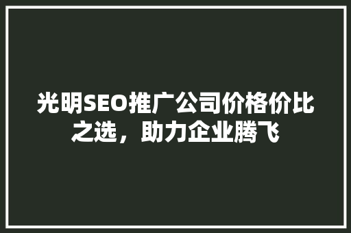 光明SEO推广公司价格价比之选，助力企业腾飞