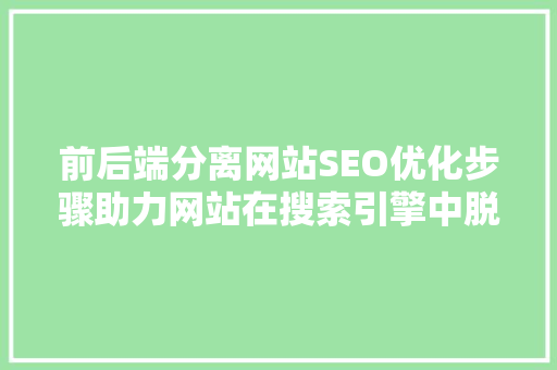 前后端分离网站SEO优化步骤助力网站在搜索引擎中脱颖而出