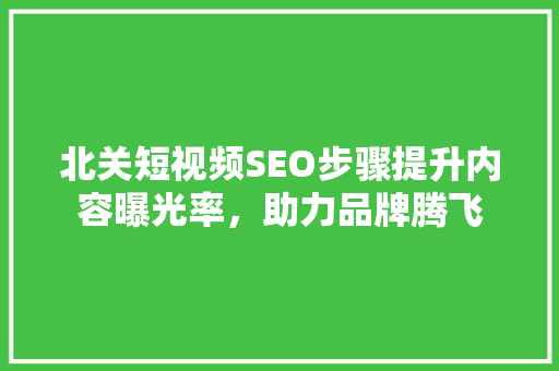 北关短视频SEO步骤提升内容曝光率，助力品牌腾飞