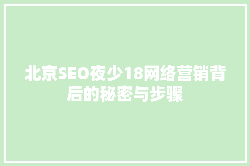 北京SEO夜少18网络营销背后的秘密与步骤