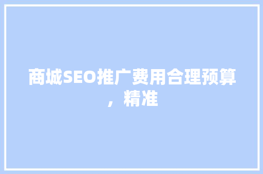 商城SEO推广费用合理预算，精准