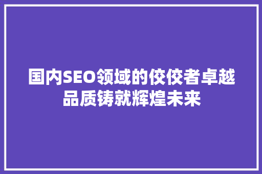 国内SEO领域的佼佼者卓越品质铸就辉煌未来