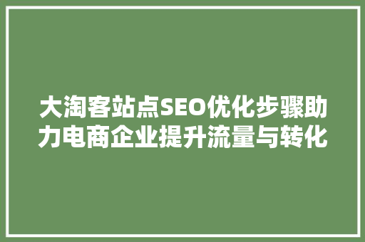 大淘客站点SEO优化步骤助力电商企业提升流量与转化